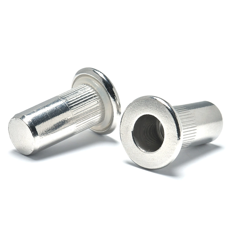 Stainless Steel 18-8 Metric M4 M6 M8 Flat Head with Plastic Ring Knurled Body Rivet Nuts with Close End